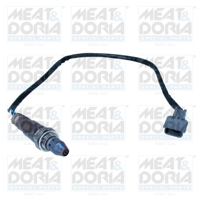 Oxygen Sensor